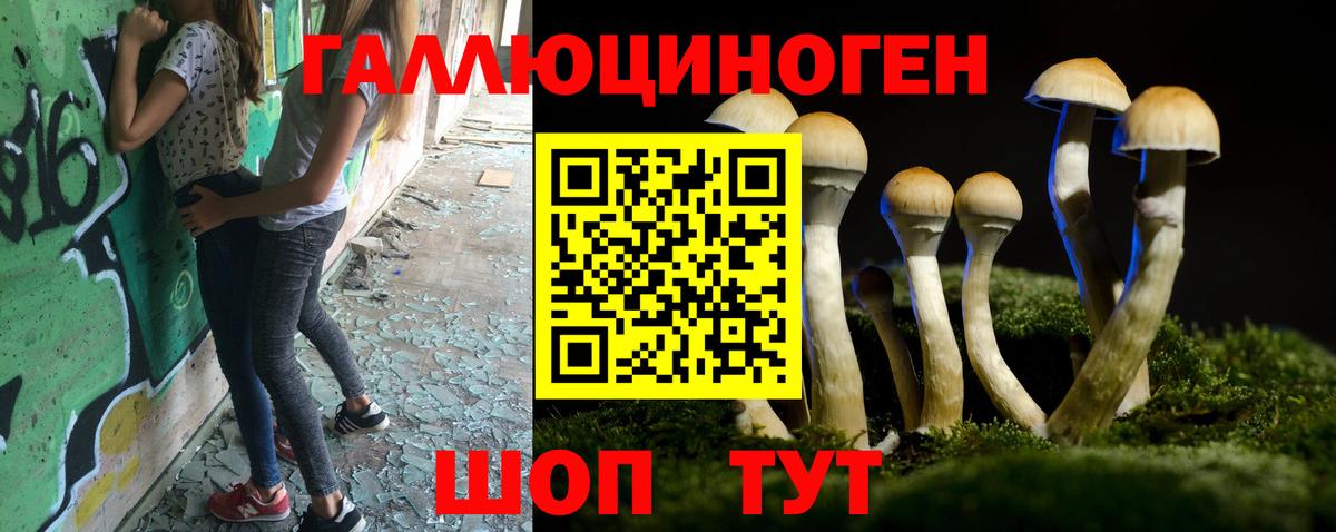 Галлюциногенные грибы Cubensis Кашира